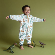 Load image into Gallery viewer, Baby Boy&#39;s Dino Fleece Sleeping Bag (Size12m-6yrs)
