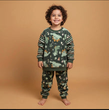 Load image into Gallery viewer, Boy&#39;s Dino Fleece Pyjamas (Size:3-7 yrs)
